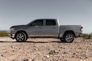gray ram