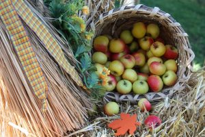 Basket of Apples